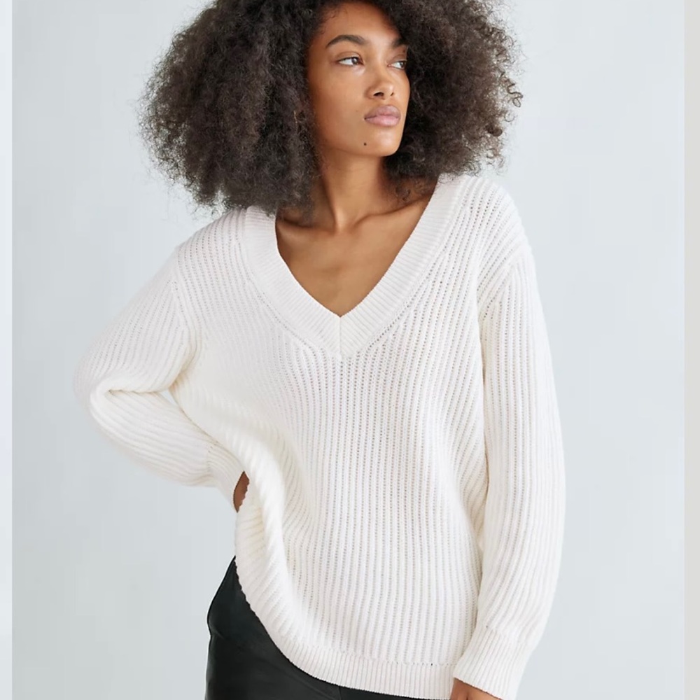 Aritzia Babaton Roger Sweater